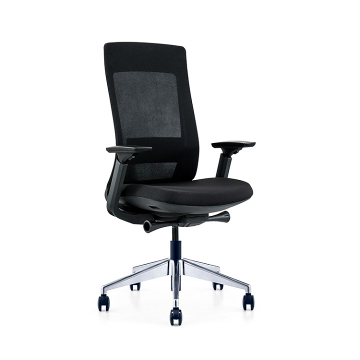 EVL-002B Black Executive Ergonomic Chair