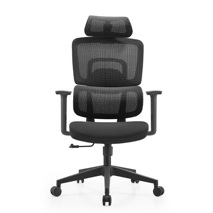 Garry HB Ergonomic Executive Stylish Chair